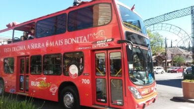 Bustour