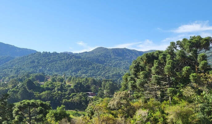 Monte Verde