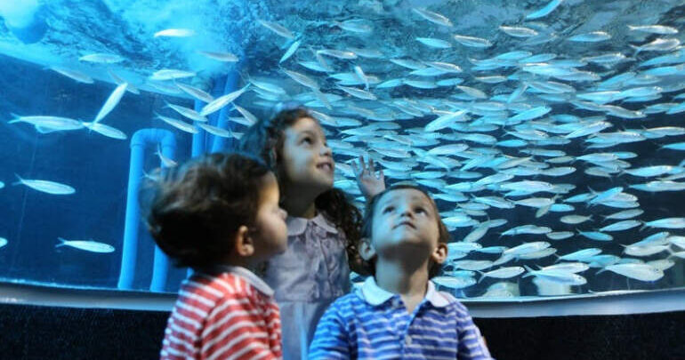 AquaRio