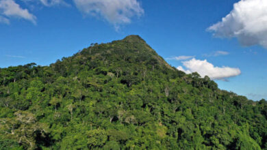 Monte Pascoal