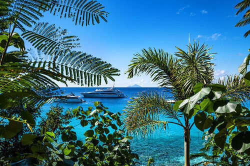 St. Barth