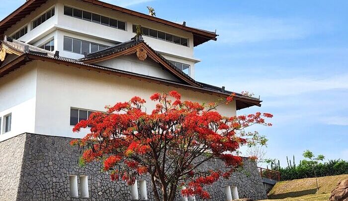 Jardim Iwa