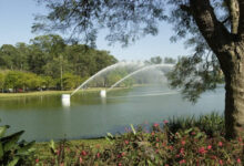 Parque Ibirapuera