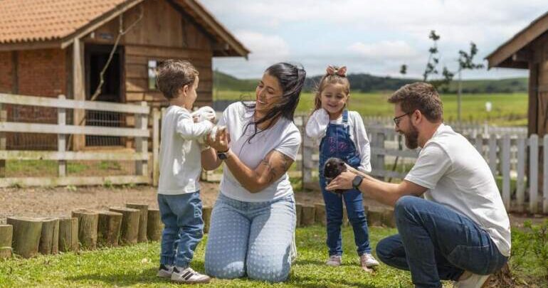 Fazendinha do Divisa