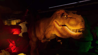 Vale dos Dinossauros