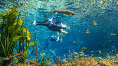 Nascente Azul