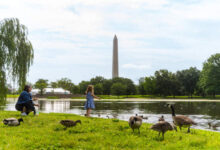 Washington