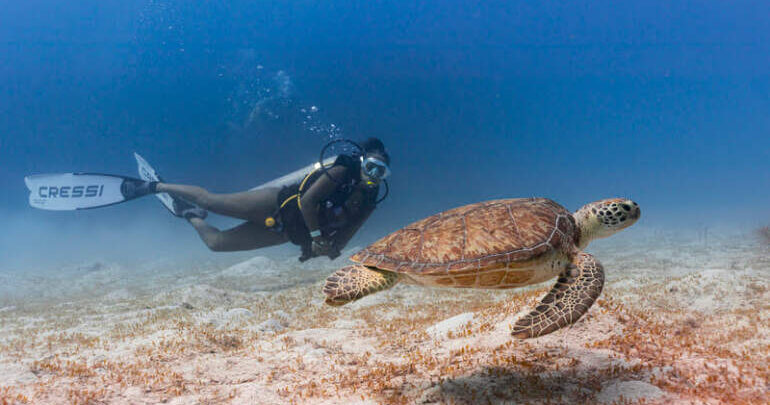 Barbados