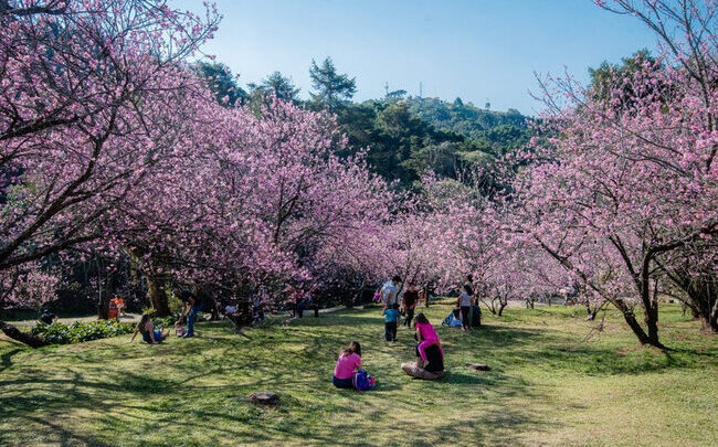 Campos do Jordão
