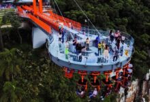 Skyglass Canela