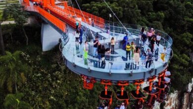Skyglass Canela