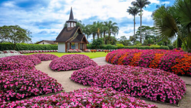 Joinville