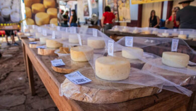 Queijo do Serro